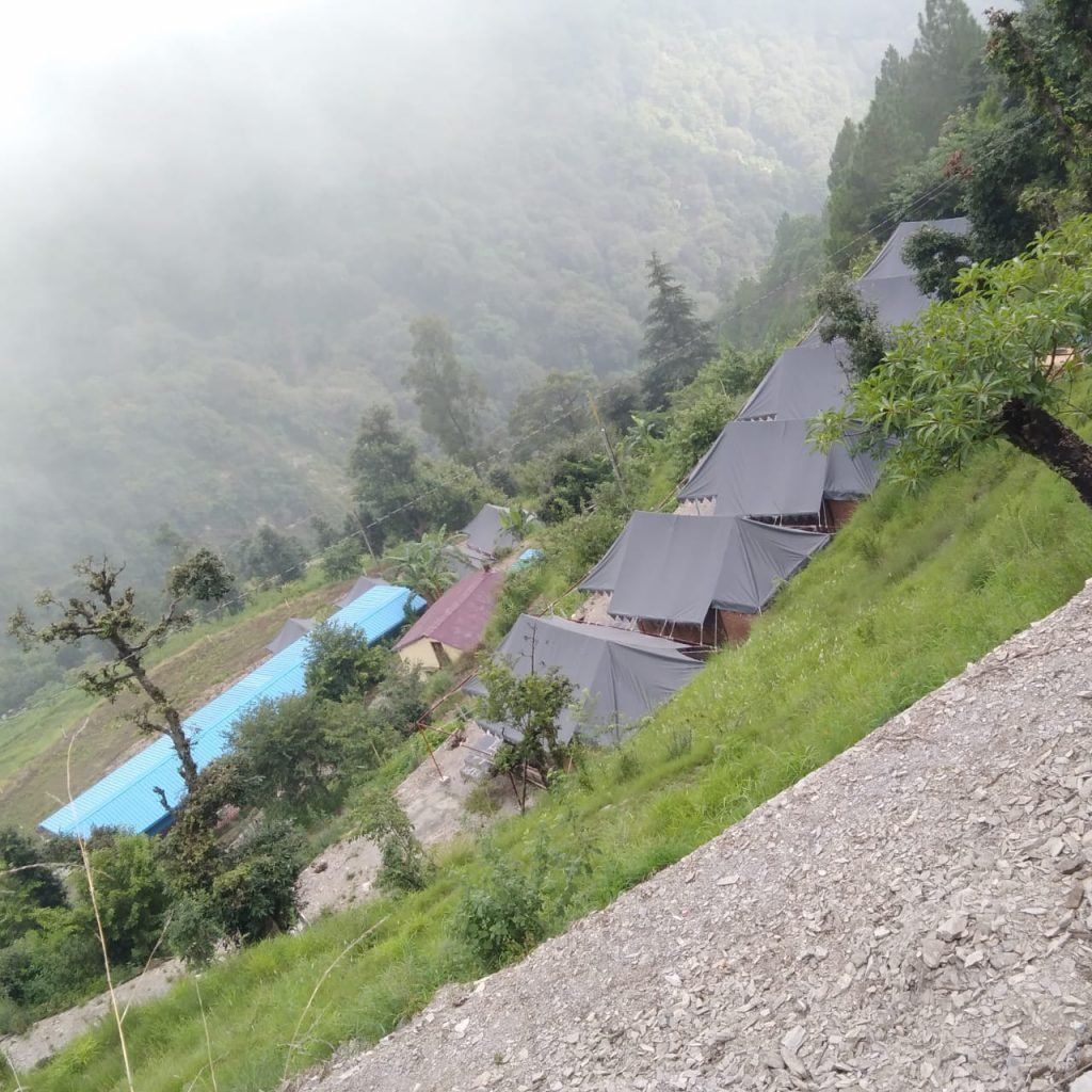 Green Valley || Camping in Nainital Pangot 