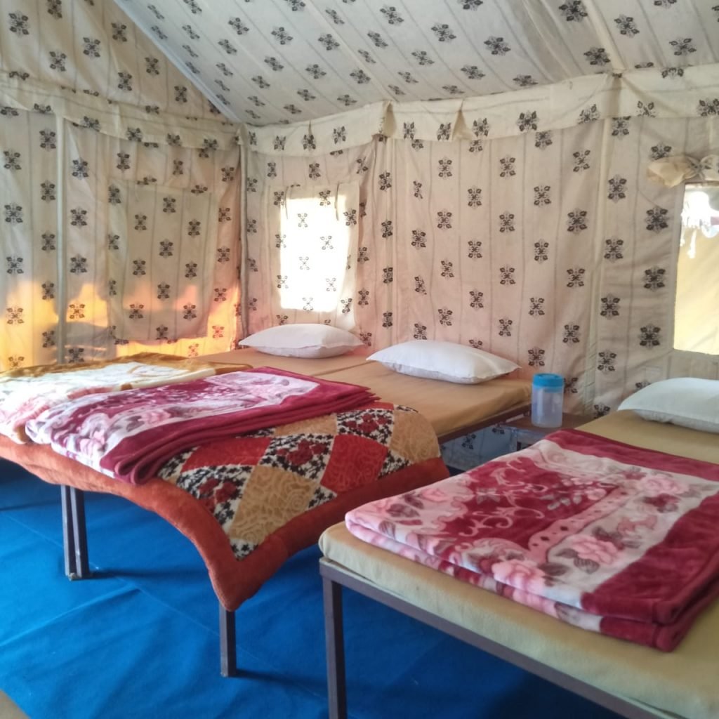 Green Valley || Camping in Nainital Pangot 