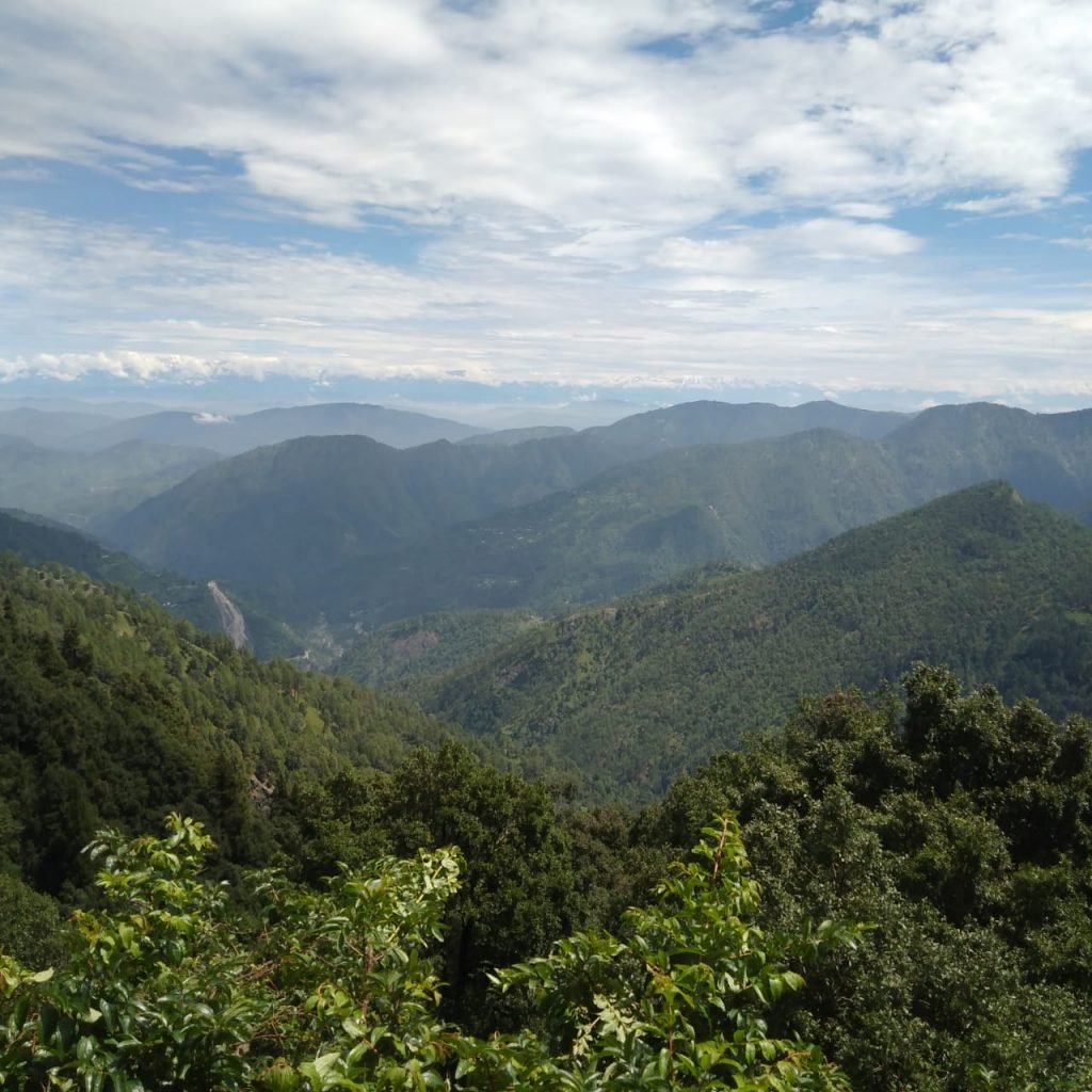 Green Valley || Camping in Nainital Pangot 