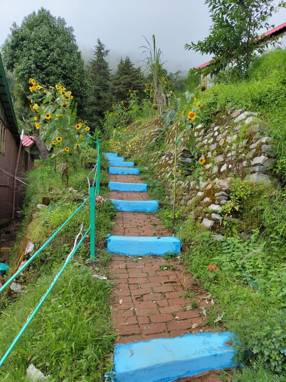 Ananya Cottages || Resort in Pangot Nainital