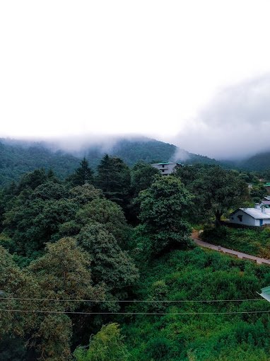 Himani Resort in Pangot || Nainital