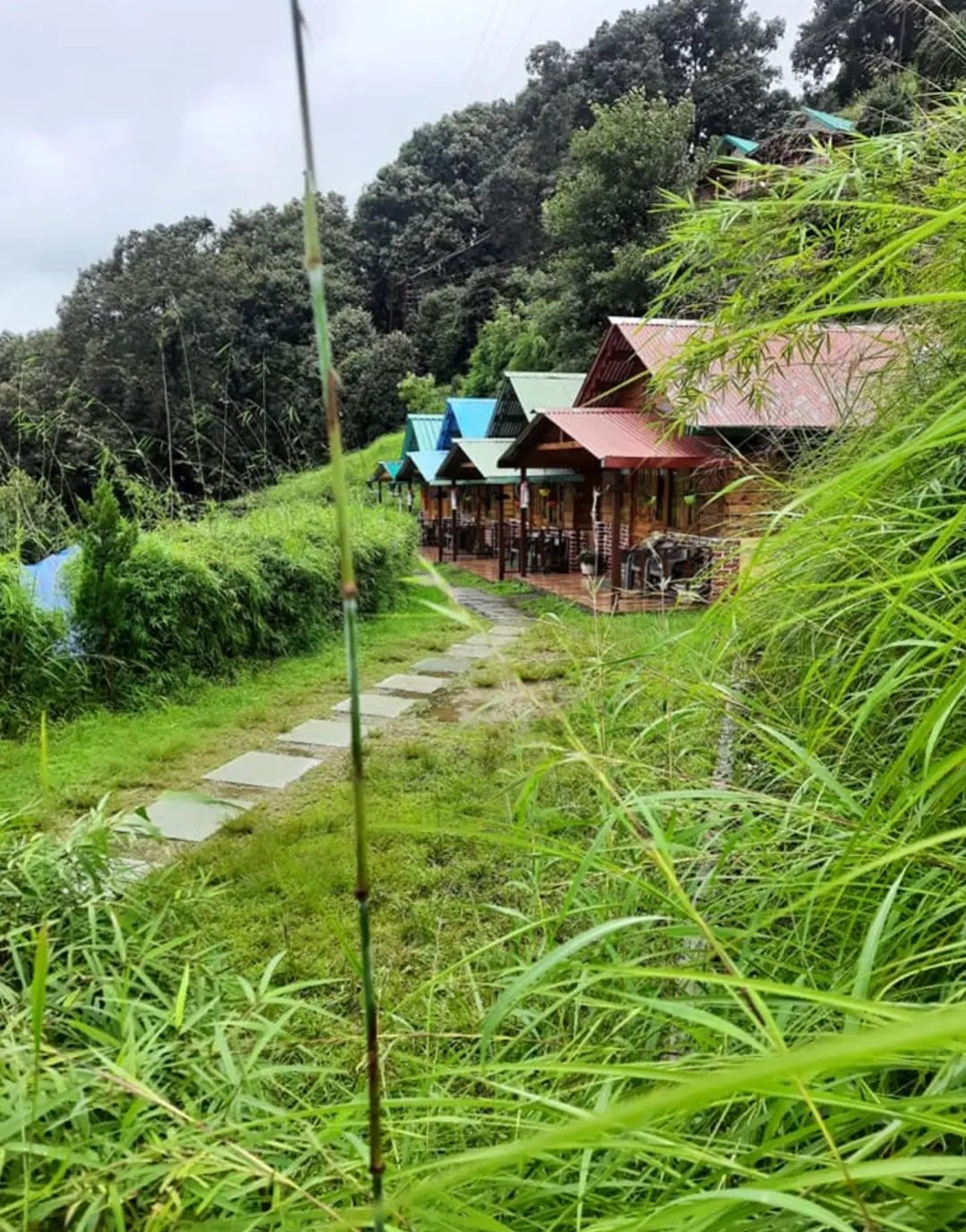Mehi Camping in Nainital Pangot
