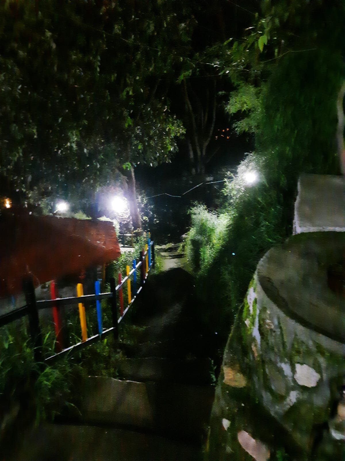 Mehi Camping in Nainital Pangot