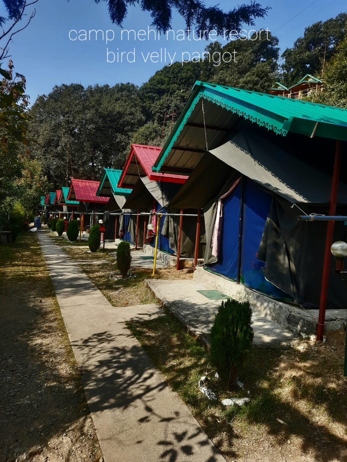 Mehi Camping in Nainital Pangot