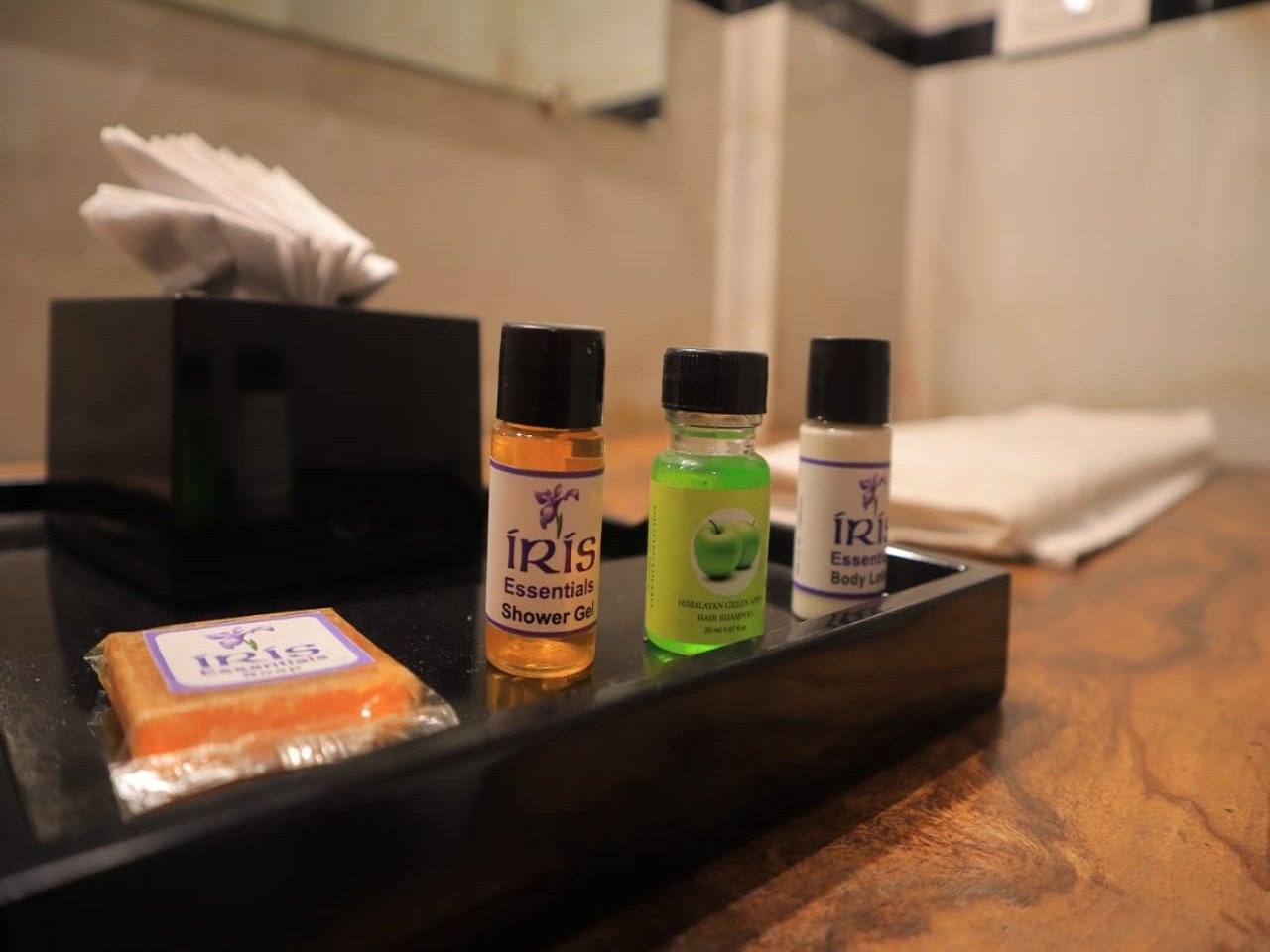 Mystic inn Resort in Jim Corbett ramnagar